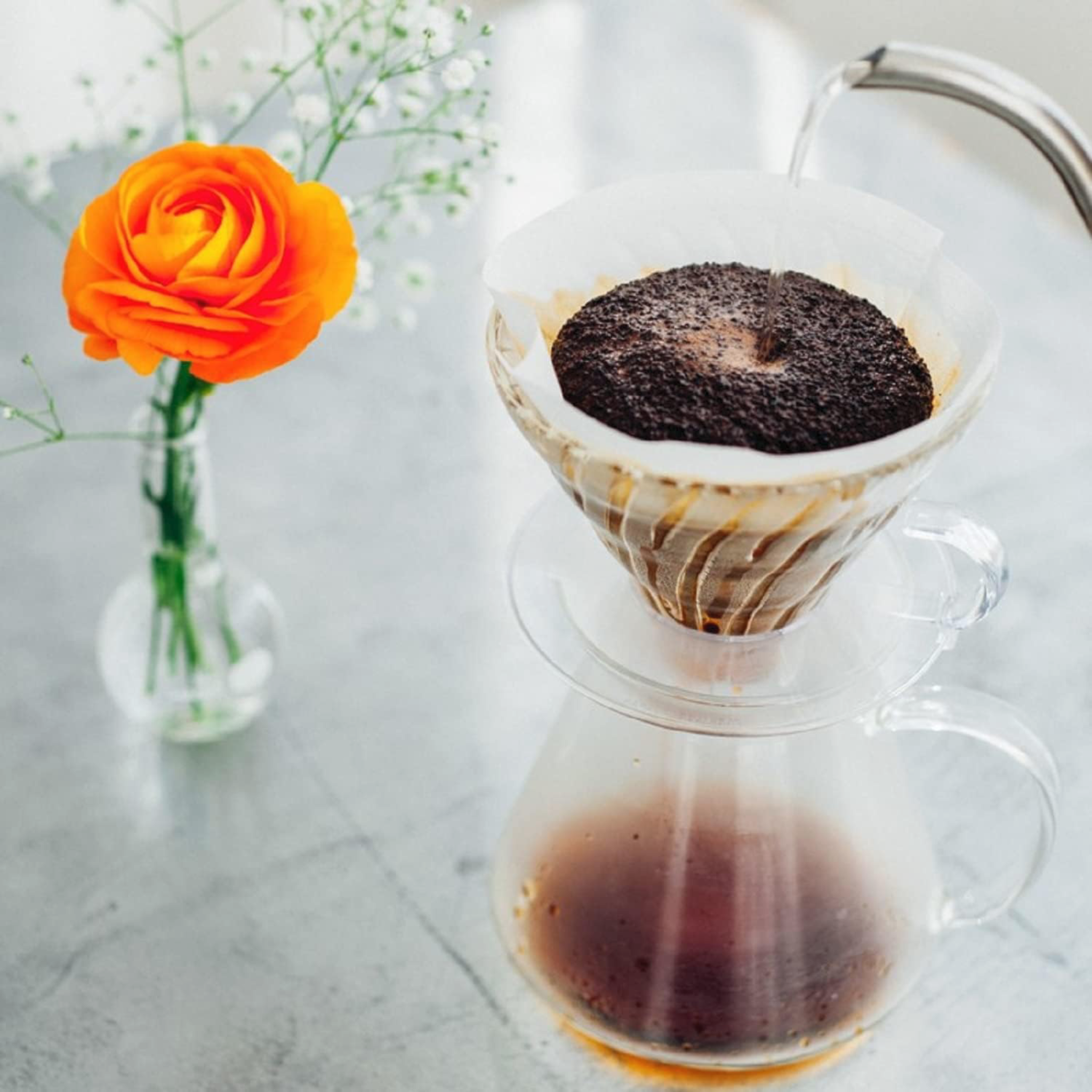 Hario V60 Glass Pour Over Brewing Kit, Size 02 – Clear