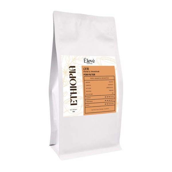 Ethiopia Guji