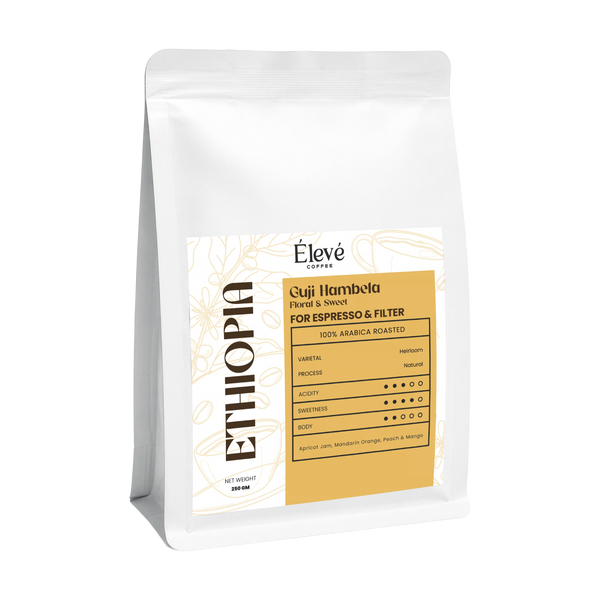 Ethiopia Guji Hambela